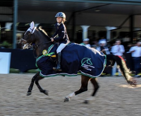 Campeonato Brasileiro de Mini-mirim 2019